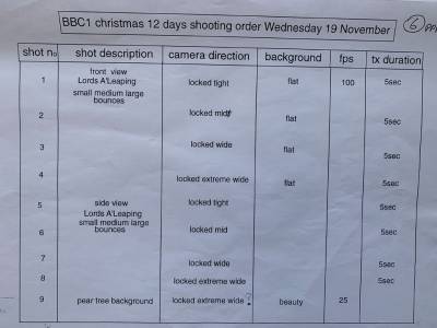 The 12 Days of Christmas - shooting order 2